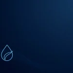 Produits Écologiques Pour Le Nettoyage : L’Expertise Durable De Camer Clean