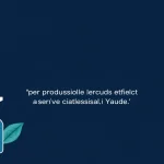 Produits et Pratiques de Nettoyage Écologique : L’Expertise Durable de Camer Clean